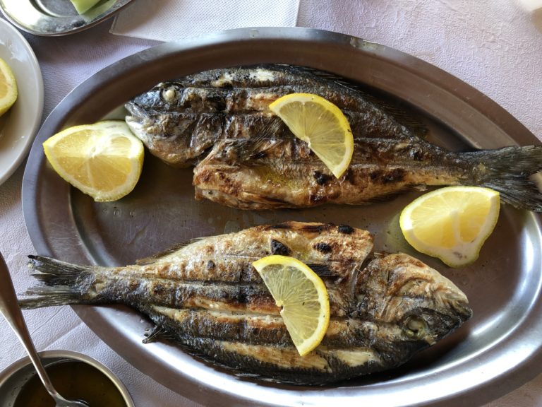 Most Common Types of Fish in Greece