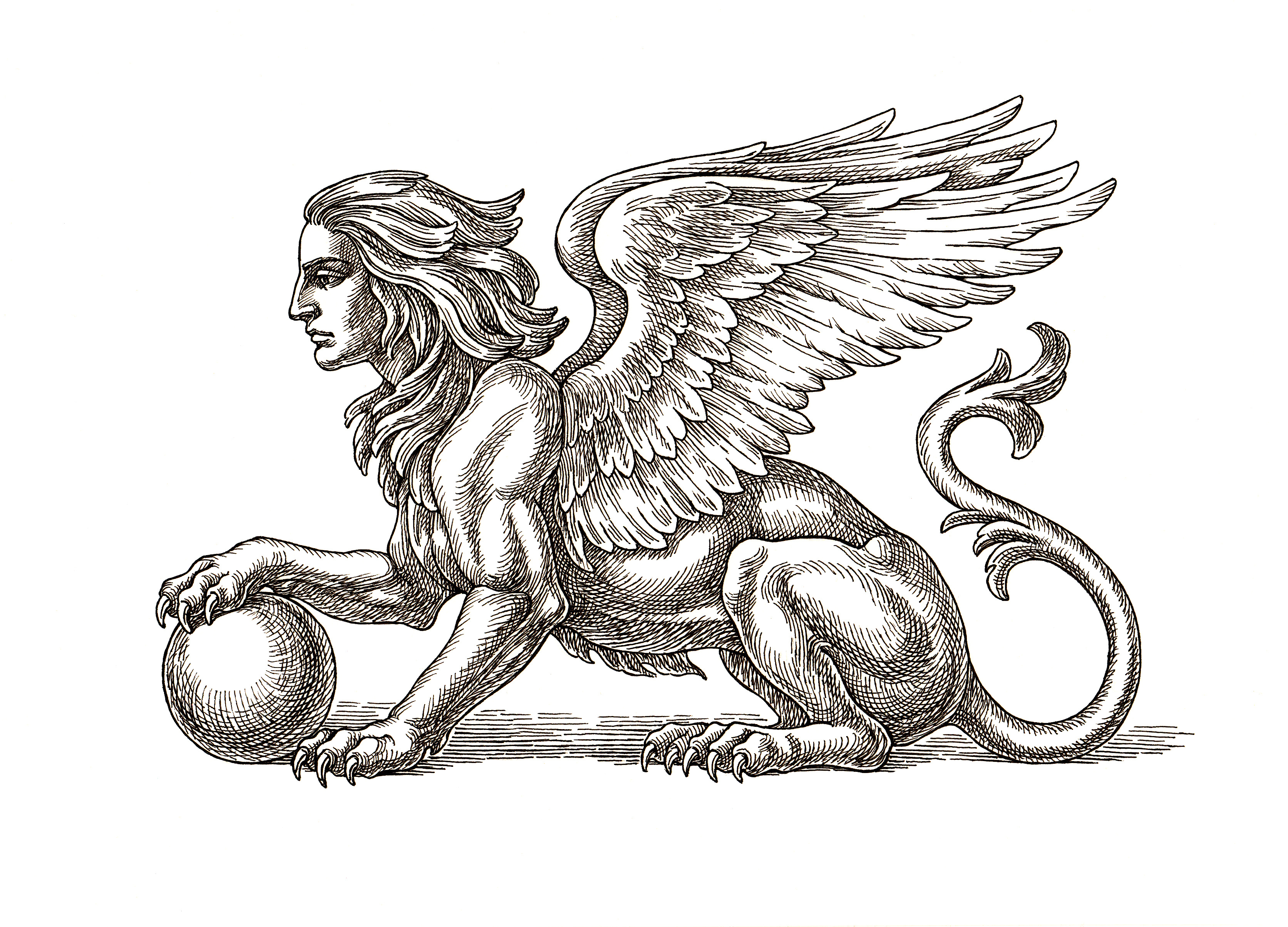 Desen original cu cerneală și stilou, Sfinxul înaripat pe fond alb.