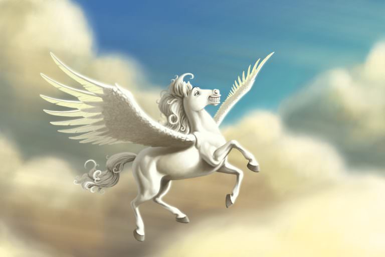 pegasus floatie