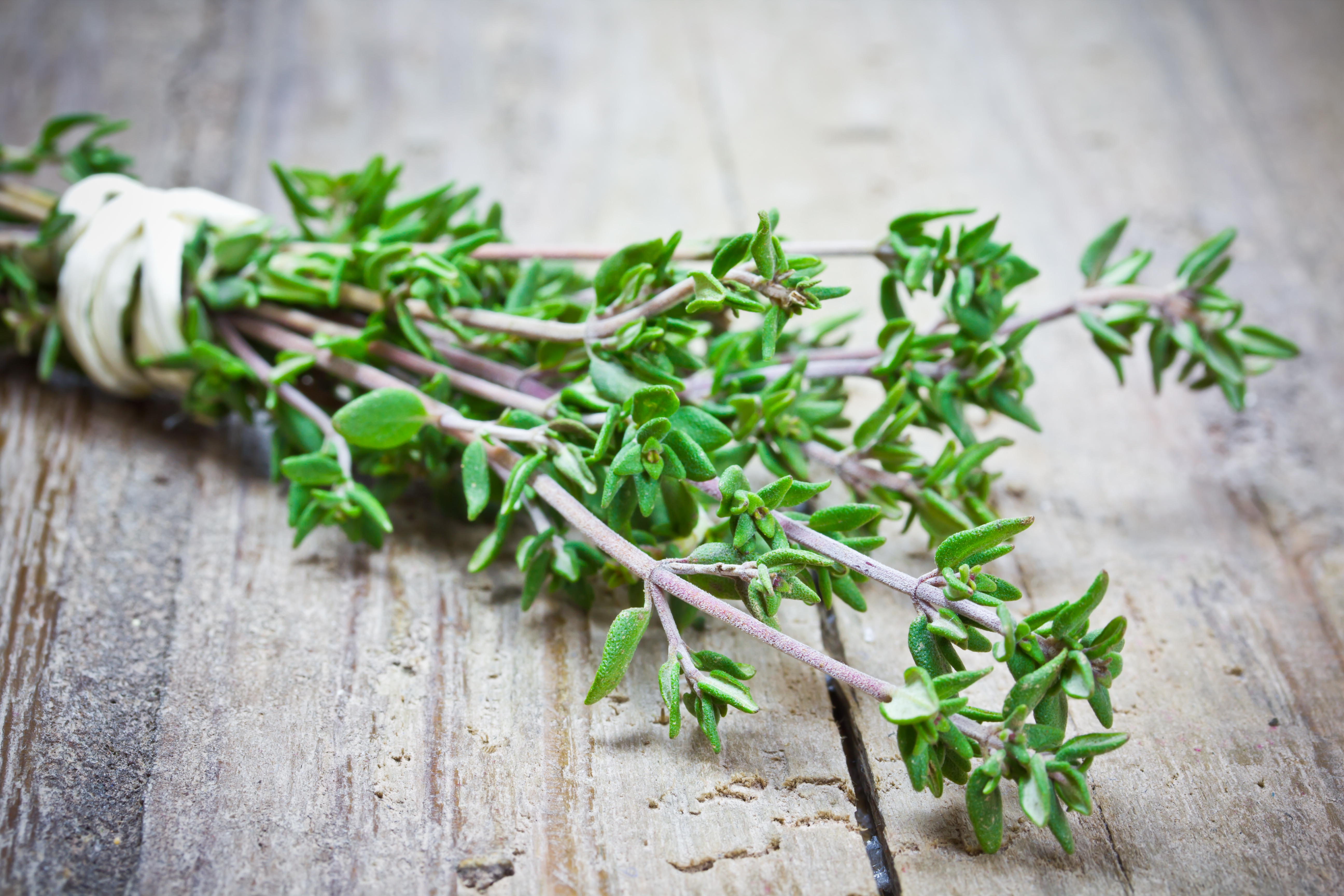 thyme uses in food
