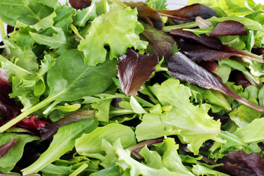 Greek Islands Style Mixed Greens Salad