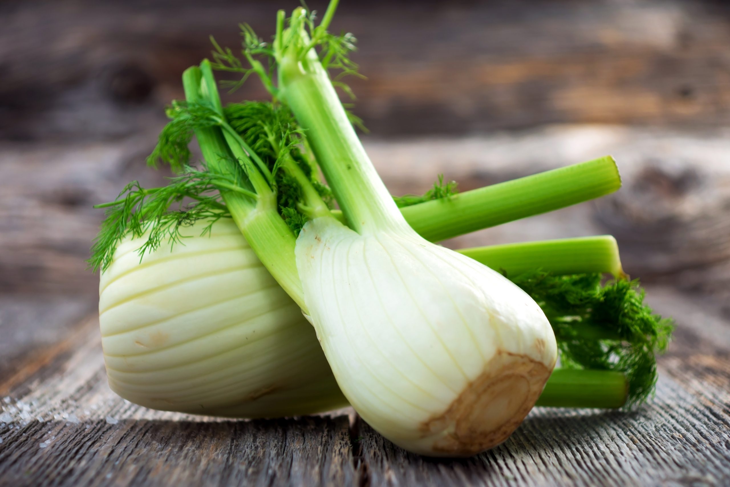 Greek Fennel Cooking And Medicinal Info